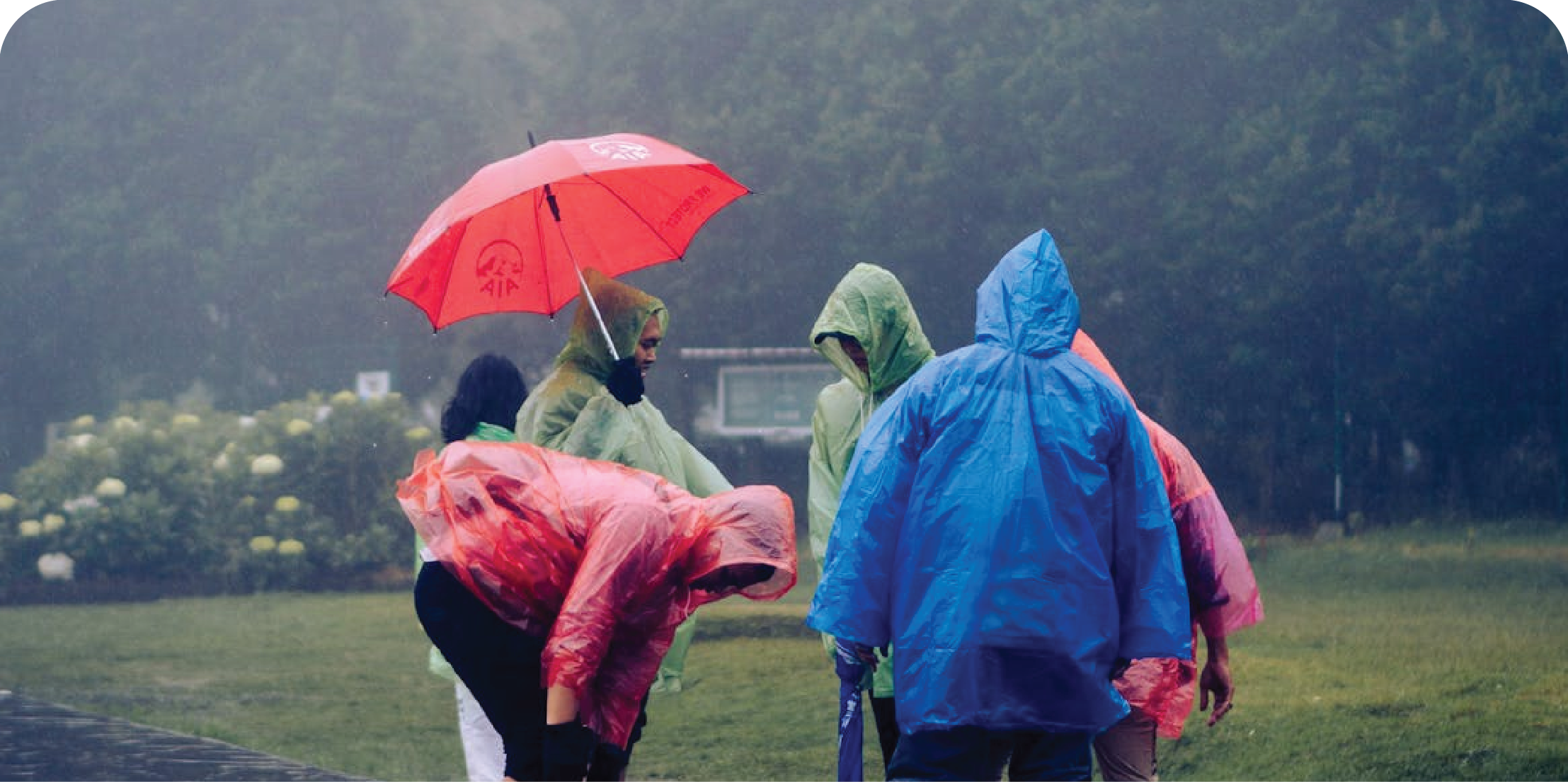 Beach Raincoat