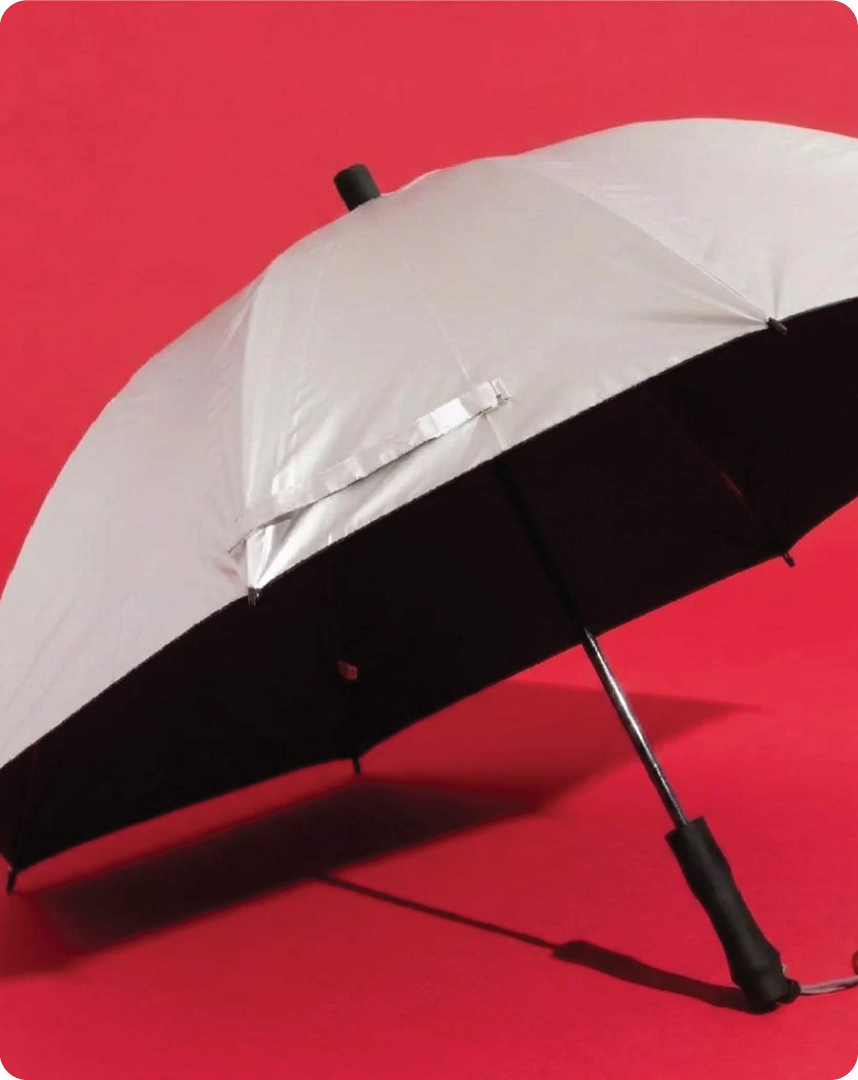 Umbrella