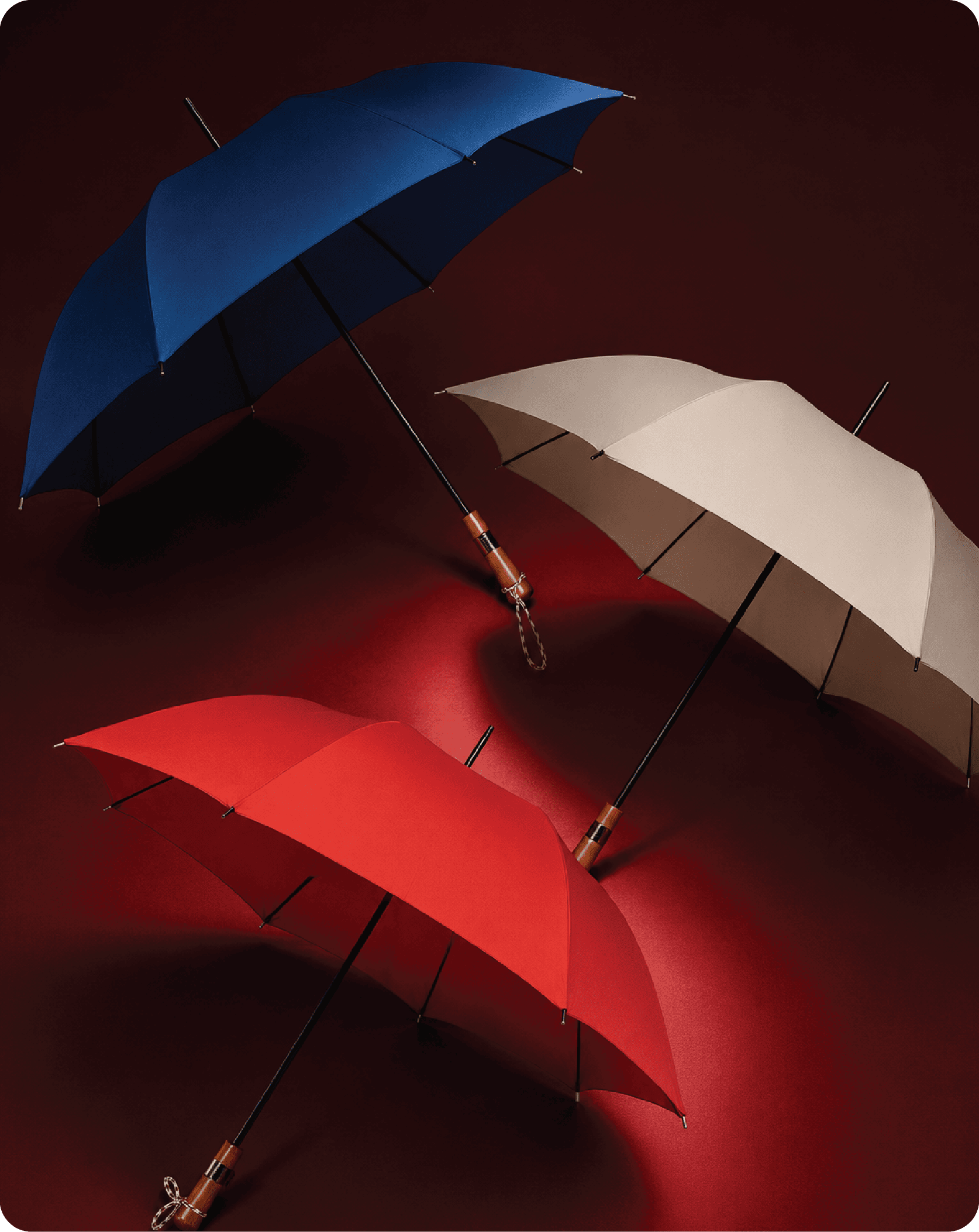 Umbrella